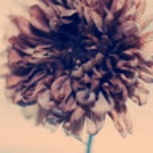 Meet your Posher, Sora